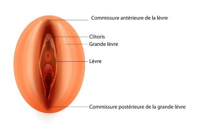 Rajeunissement vulvaire Lille